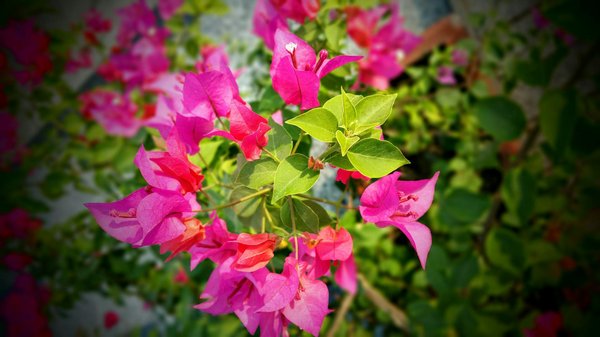 Comment créer une chambre d'enfant inspirante et ludique ?