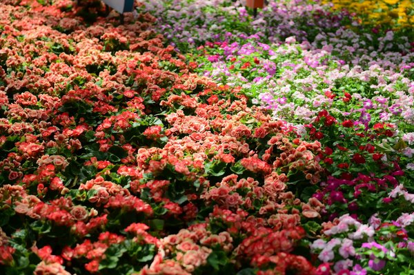 Comment associer votre meuble TV à votre table basse